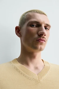 REGULAR-FIT COTTON JUMPER