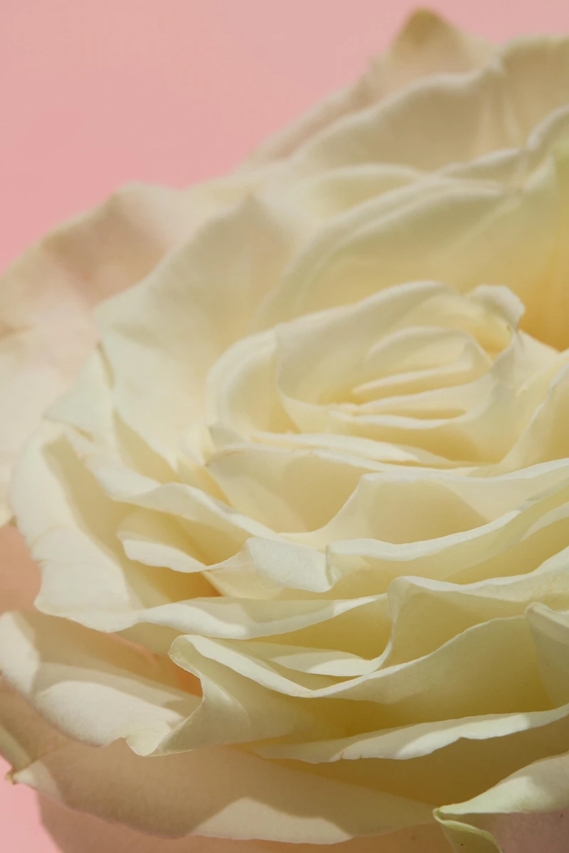 WONDER ROSE & APPLEJUICE 2X30ML (1,01 FL. OZ).