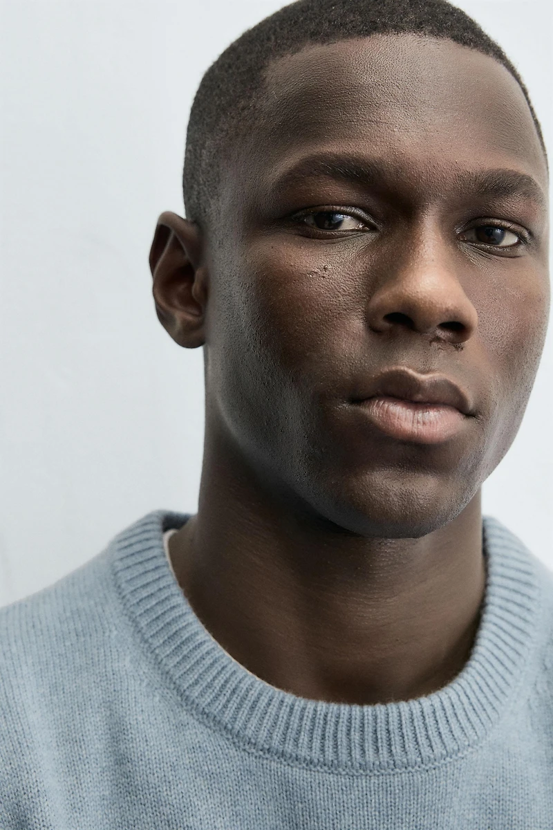 REGULAR FIT WOOL BLEND JUMPER