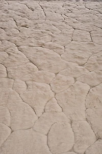 RUG 04