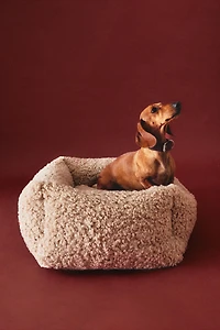 FAUX SHEARLING PET BED