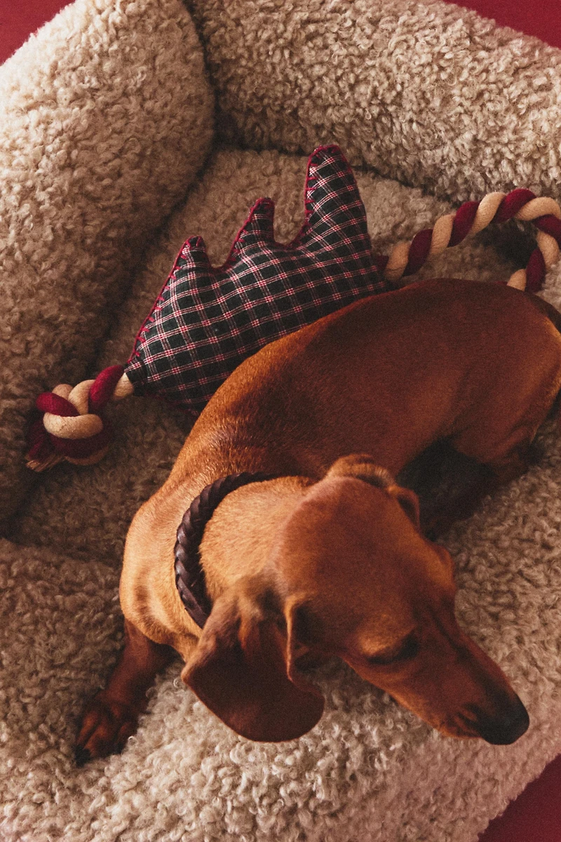 CHRISTMAS TREE PET CHRISTMAS TREE