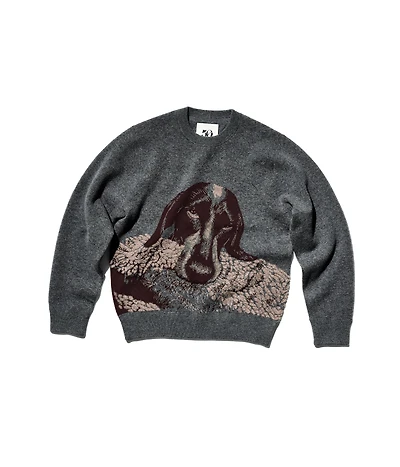 LUCA GUADAGNINO ROSY SWEATER