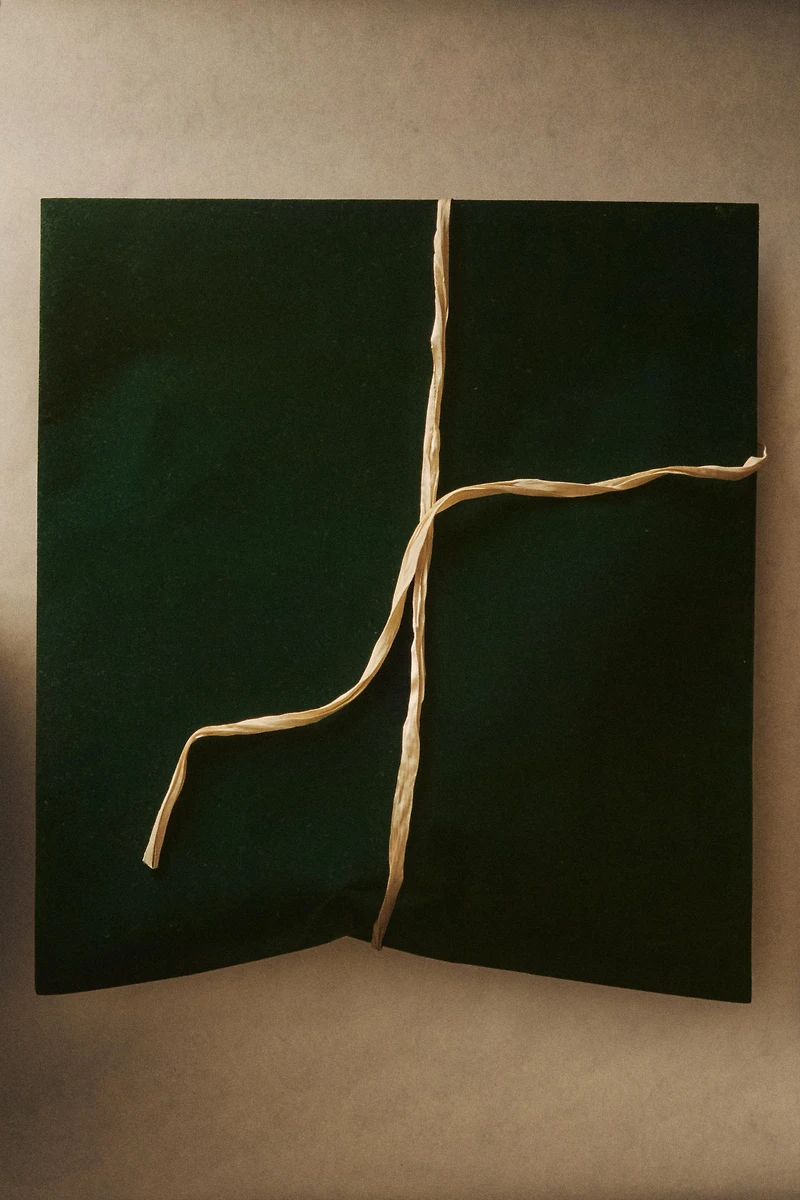 VELVET CHRISTMAS GIFT BAG