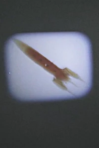 CHILDREN’S TOY SPACE PROJECTOR
