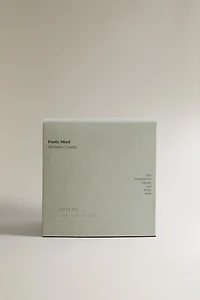 (620 G) BOUGIE PARFUMÉE POETIC MIND