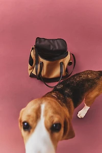 LEATHER PET CARRIER