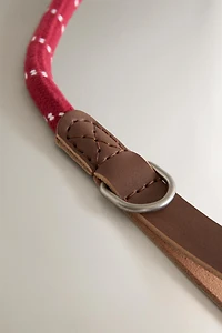 LAISSE CORDE ET CUIR ANIMAUX