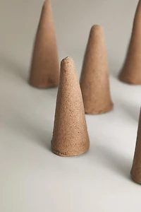 SACRED WOODS SET OF SCENTED INCENSE CONES (SET OF 10)