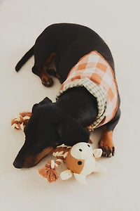 REVERSIBLE CHECK PET BANDANA