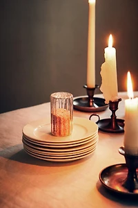 BOROSILICATE GLASS SALT SHAKER