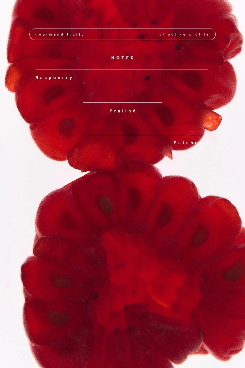 RED VANILLA EDT 90ML (3.04 FL. OZ).