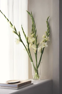 FLARED GLASS VASE
