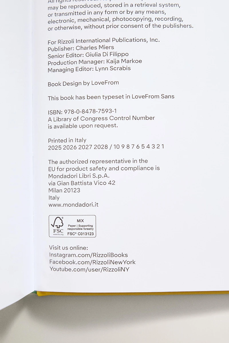 SQUEEZE - LEMON RECIPES & ART BOOK (ENGLISH)