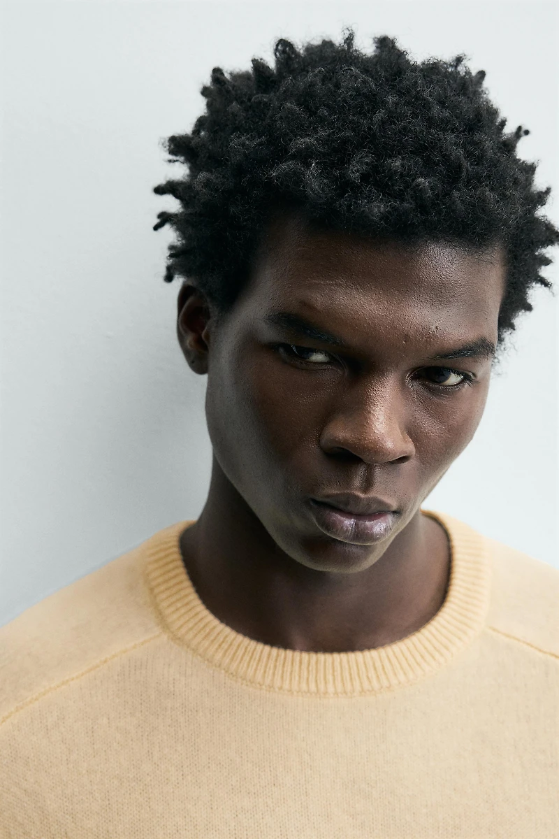 REGULAR FIT WOOL BLEND JUMPER