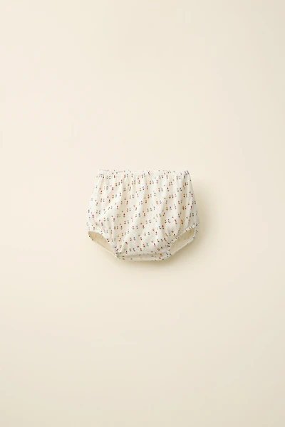 TULIP POINTELLE BLOOMERS CREATED BY CARAMEL LONDON X ZARA