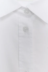 ZW COLLECTION OXFORD SHIRT
