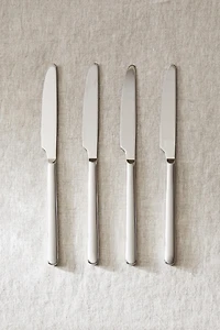SET OF SHINY STEEL KNIVES (SET OF 4)