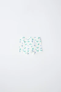 2-6 YEARS / FIVE-PACK OF DINOSAUR BOXERS