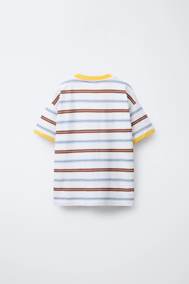 STRIPED AND EMBROIDERED T-SHIRT