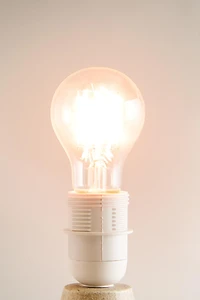 2500 K TALA LED LIGHT BULB