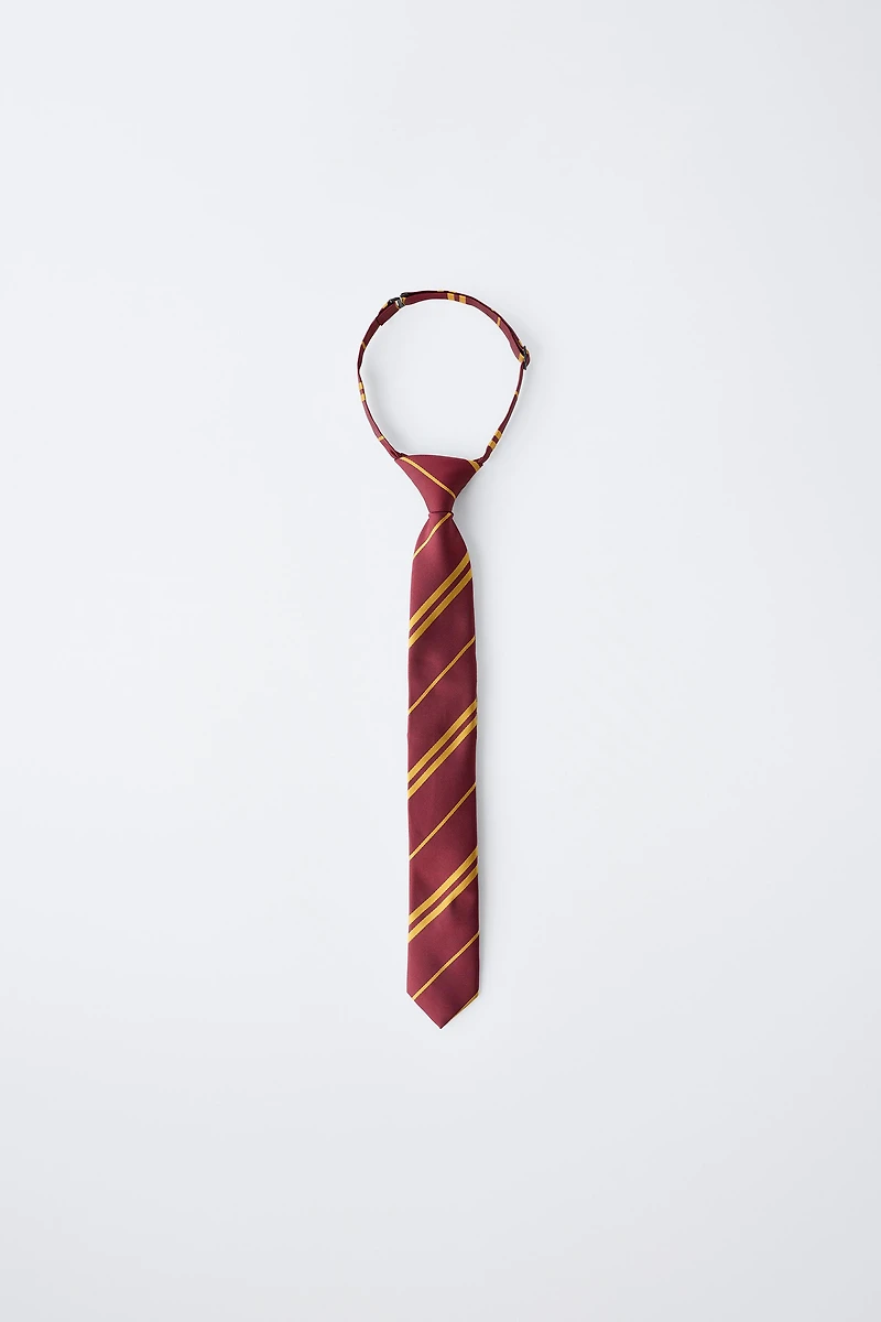 HARRY POTTER ™ COSTUME TIE