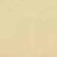 (100 ml) Golden Bloom Eau de Parfum