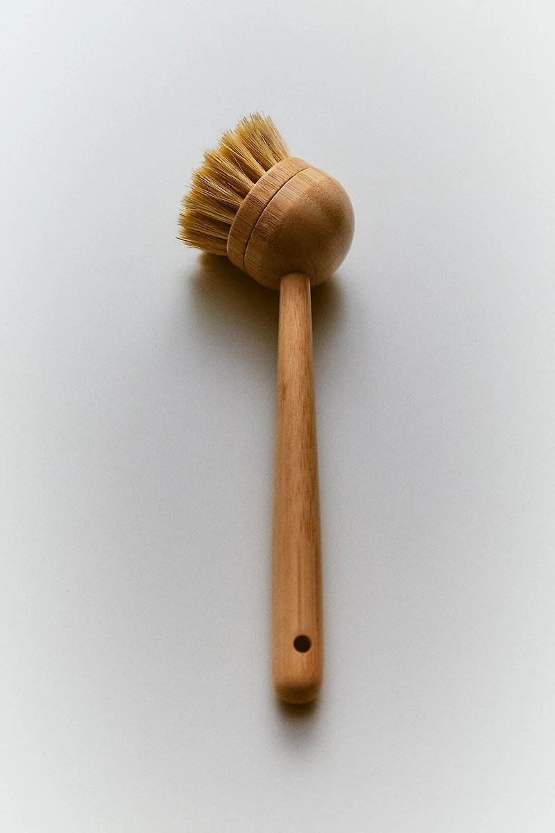 BRUSH WITH INTERCHANGEABLE BRISTLES