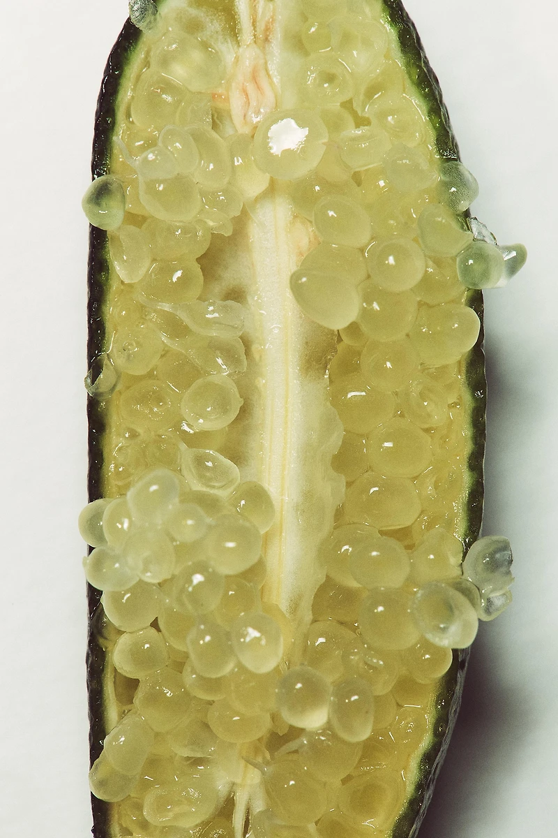 CAVIAR BERGAMOT EDP 100ML (3.4 FL. OZ)