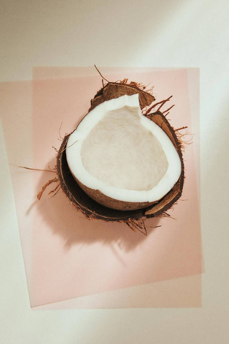 TONKA CREAM EDP 50ML