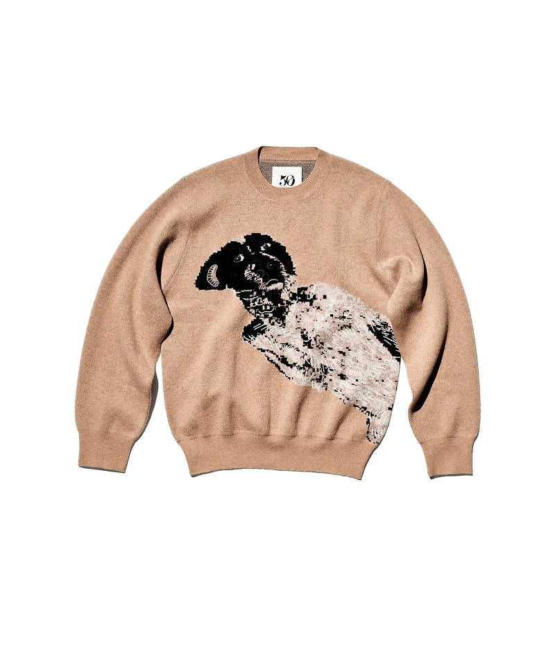 PULL ROSY LUCA GUADAGNINO