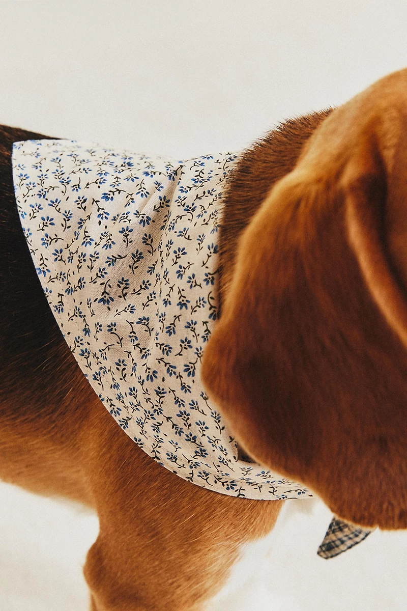 COTTON FLORAL PET BANDANA