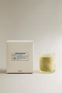(310 G) VETIVER MELON SCENTED CANDLE