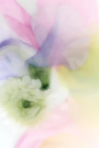 FIELDS AT NIGHTFALL INTENSE PARFUM 30ML (1.01 FL. OZ.)