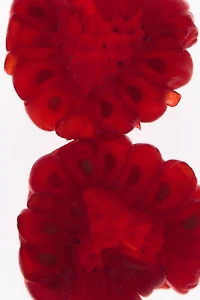 RED VANILLA EDT 90 ML (3.04 FL. OZ)
