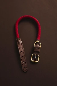 COLLIER CORDE CUIR CHIENS