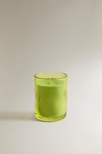 (155 G) LIME & PEPPERMINT SCENTED CANDLE