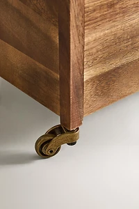 LONG STORAGE UNIT