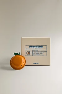 FLEUR DE MANDARINE CAR AND CLOSET AIR FRESHENER