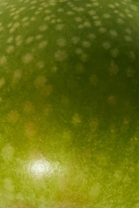 APPLEJUICE EDT 150ML (5.7 FL. OZ).