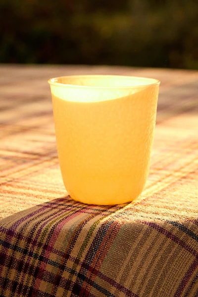 TEXTURED BOROSILICATE GLASS TUMBLER