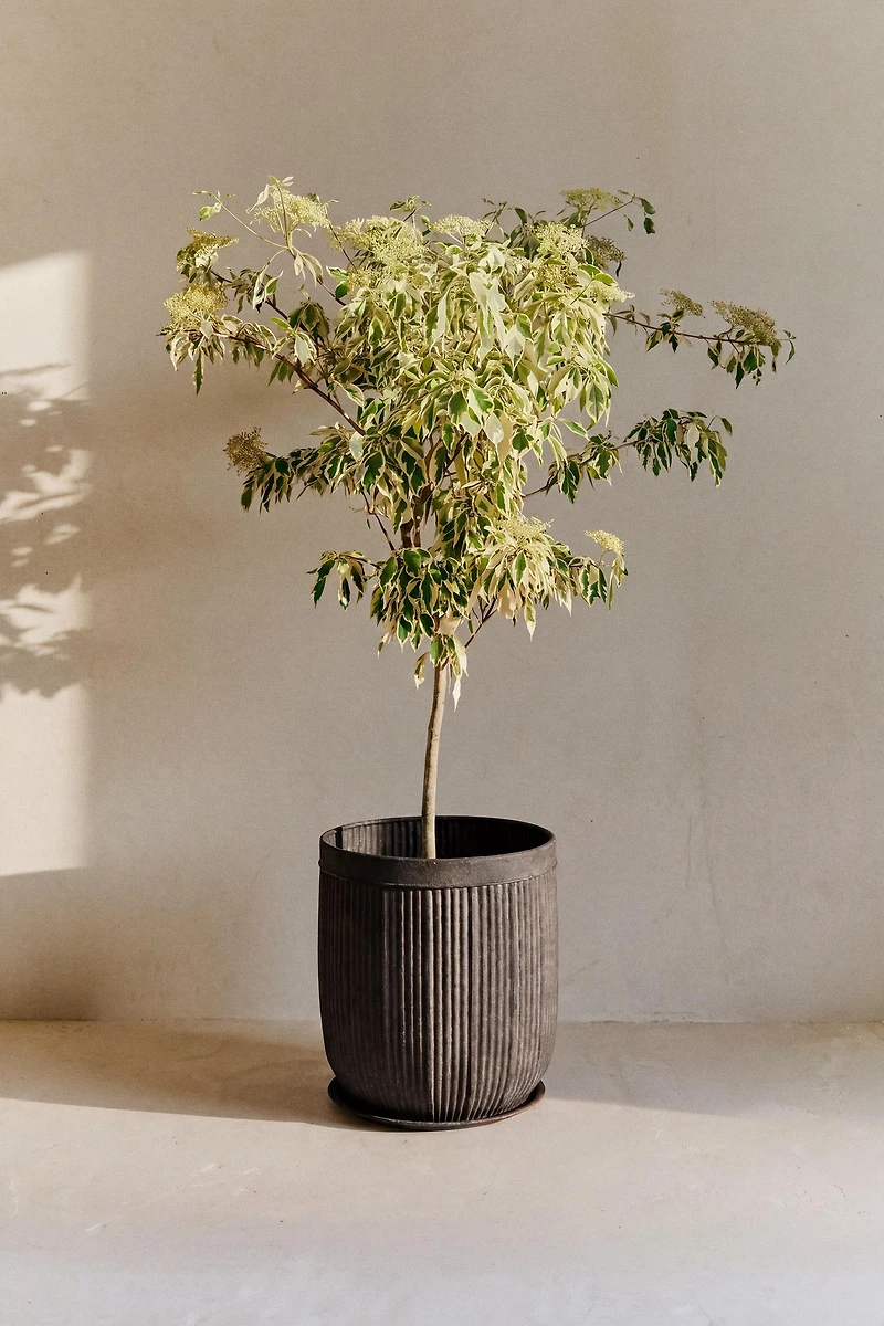 CACHE-POT EN MÉTAL