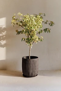 CACHE-POT EN MÉTAL