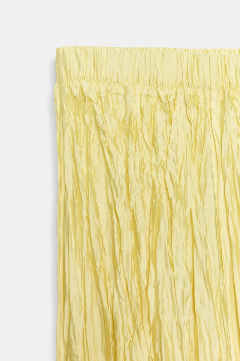ZW COLLECTION PLEATED LONG SKIRT