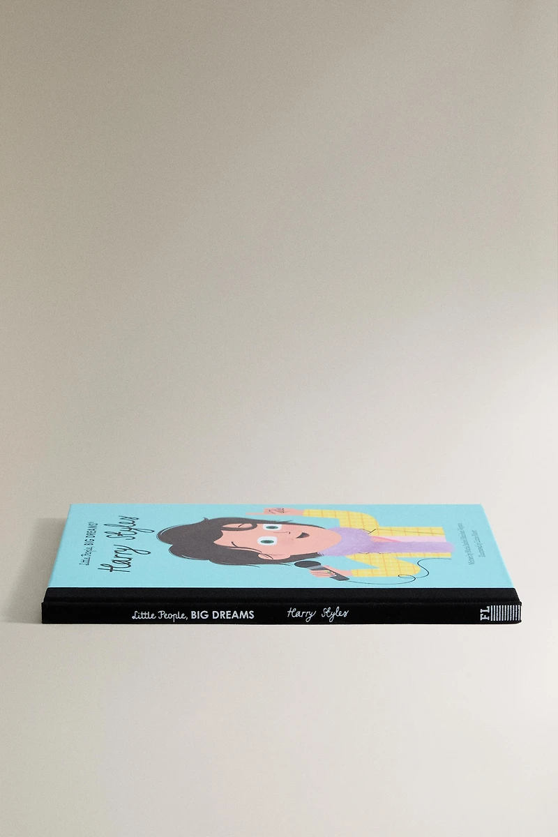 LIVRE ENFANT HARRY