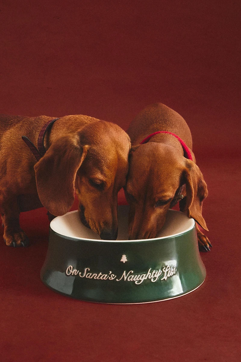 CHRISTMAS STONEWARE PET FOOD BOWL