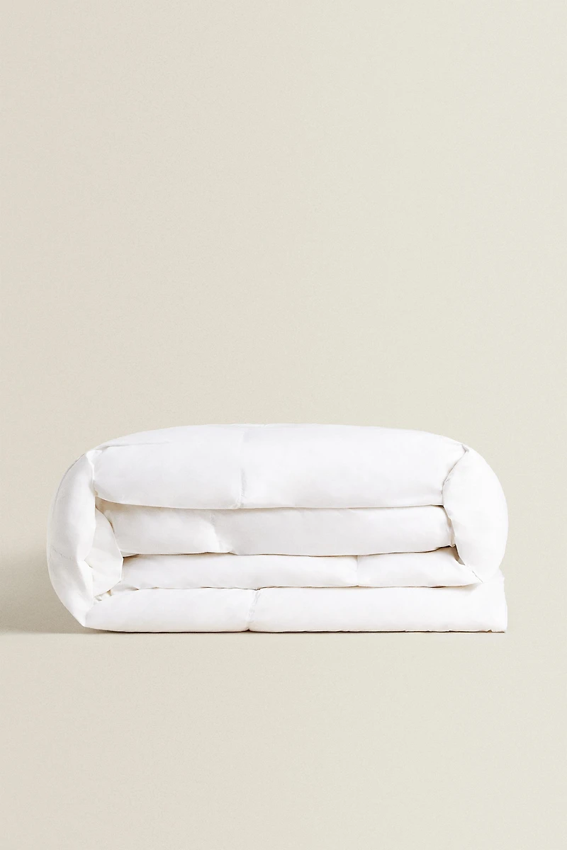 FEATHER AND DOWN DUVET (300 GXM²)