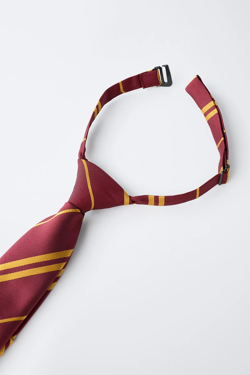 HARRY POTTER ™ COSTUME TIE