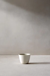 SET OF 2 - S BOWLS