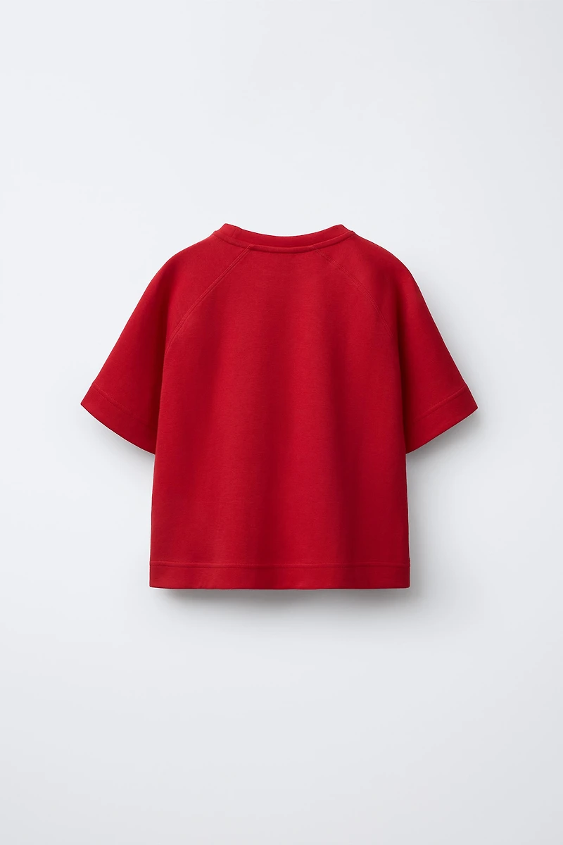 BASIC RAGLAN SLEEVE T-SHIRT